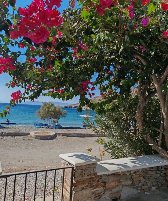 Άνετη σουίτα με θέα στη θάλασσα και όμορφα λουλούδια, ιδανική για χαλάρωση και απόλαυση της ελληνική.